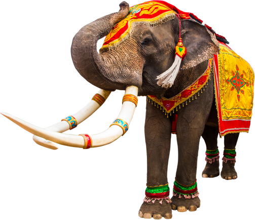 Elephant has beautiful and large. colorful painted elephant