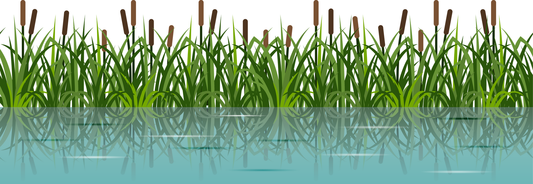 River Reeds in Grass